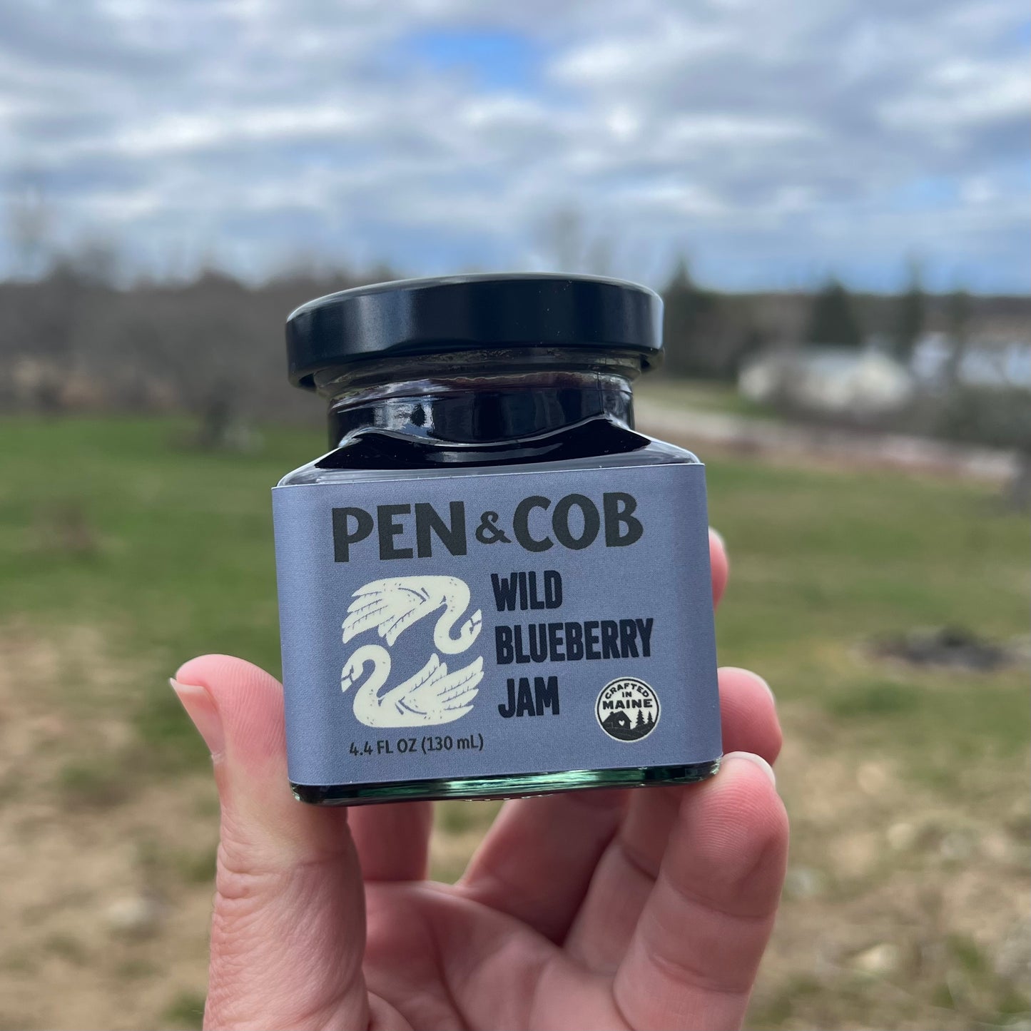 WILD BLUEBERRY JAM