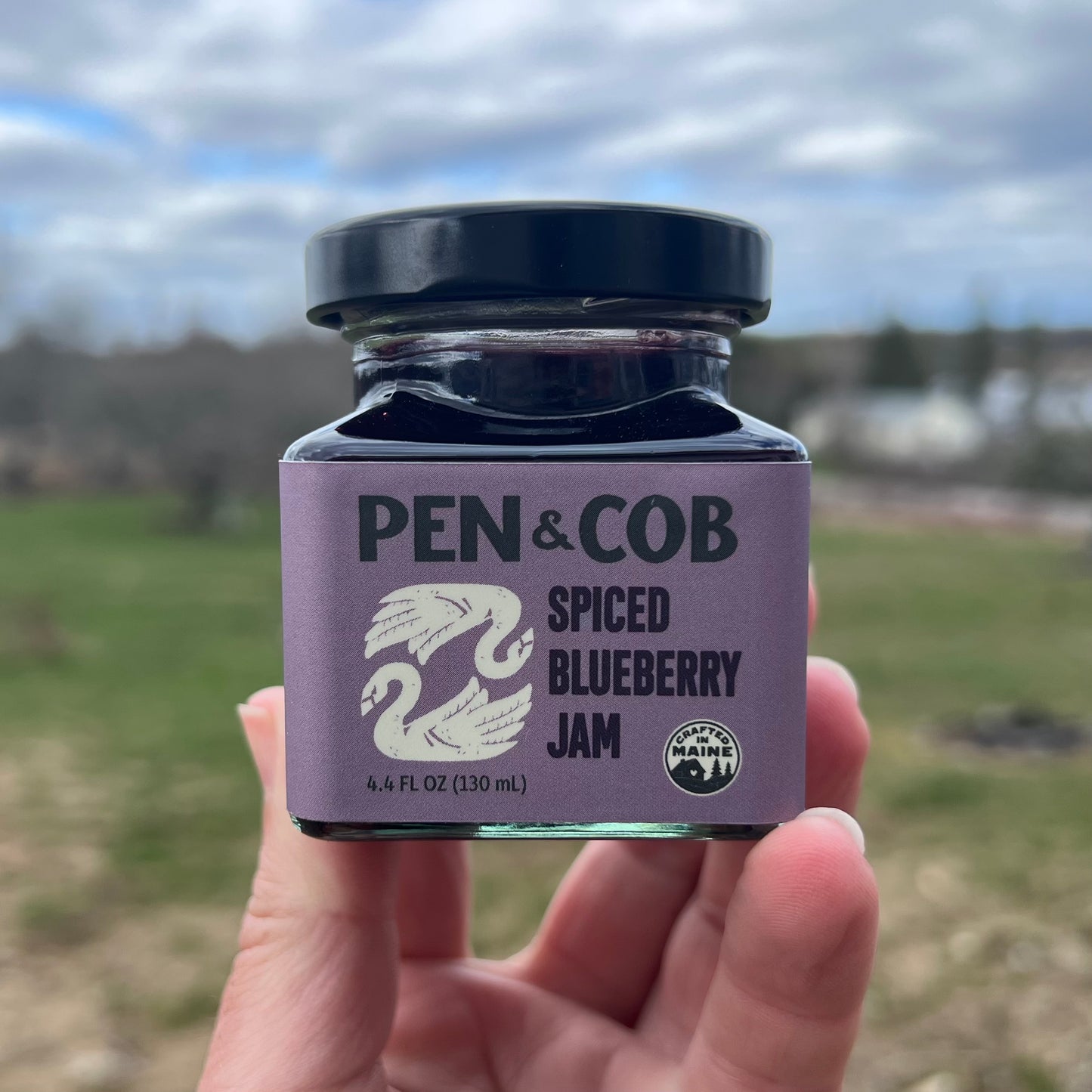 SPICED BLUEBERRY JAM
