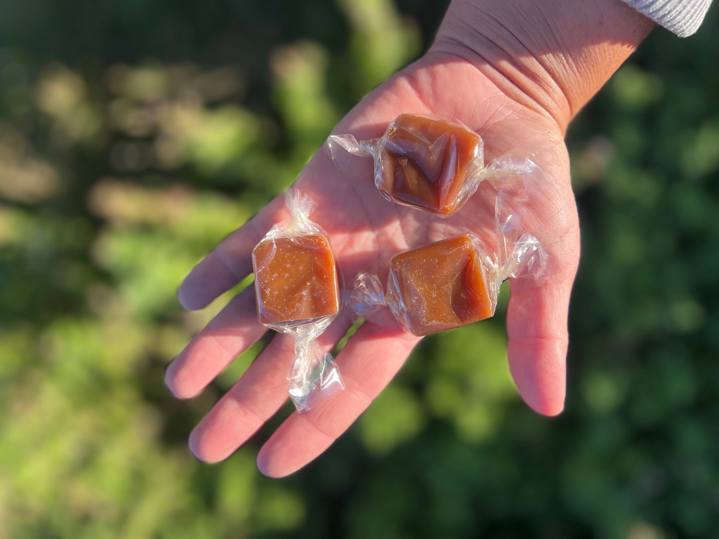 Apple Cider Caramels