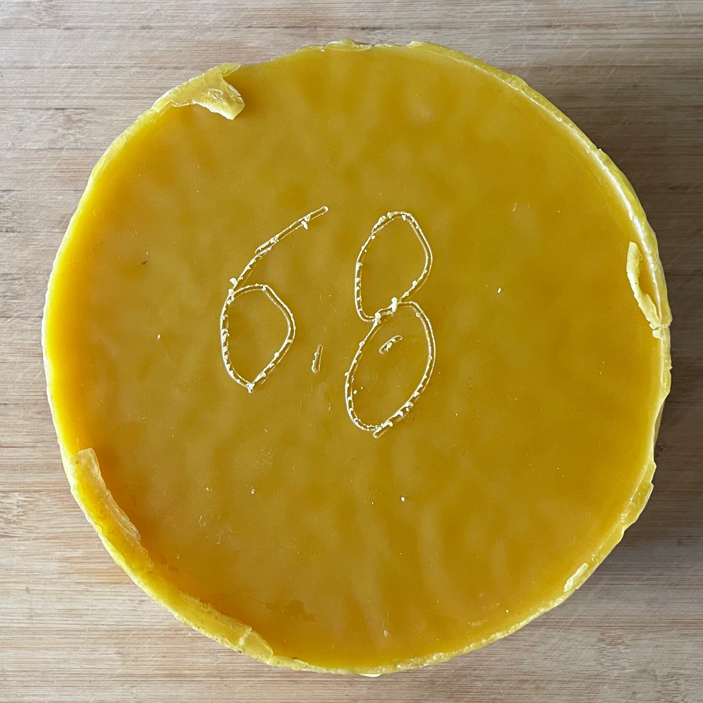 WILD ROSE HIP MOISTURIZER STICK - Fragrance Free